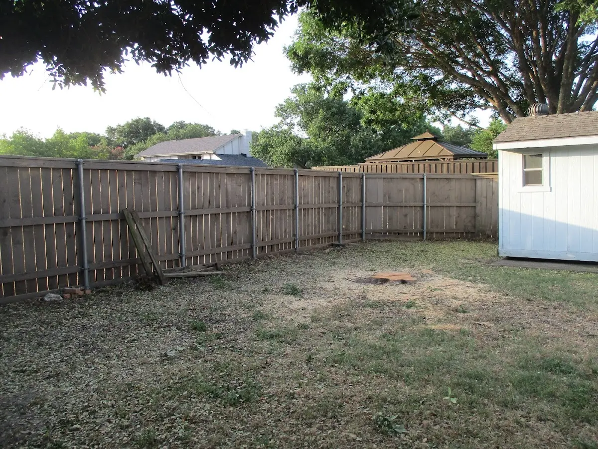 Cleared yard after professional tree removal in Holly Hill